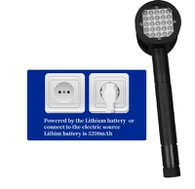 Terapia laser equina